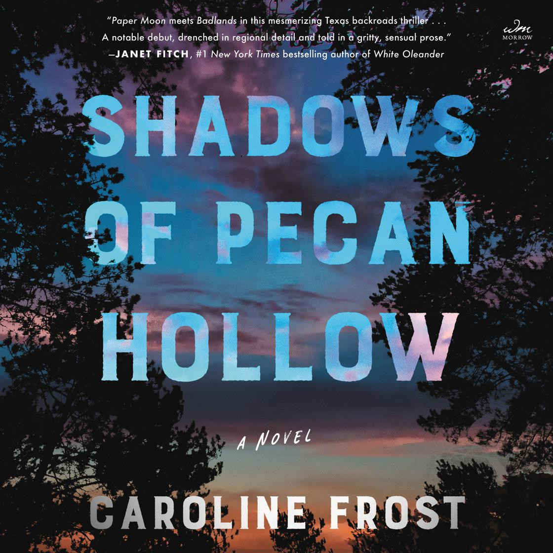 Shadows of Pecan Hollow | Libro.fm (US)
