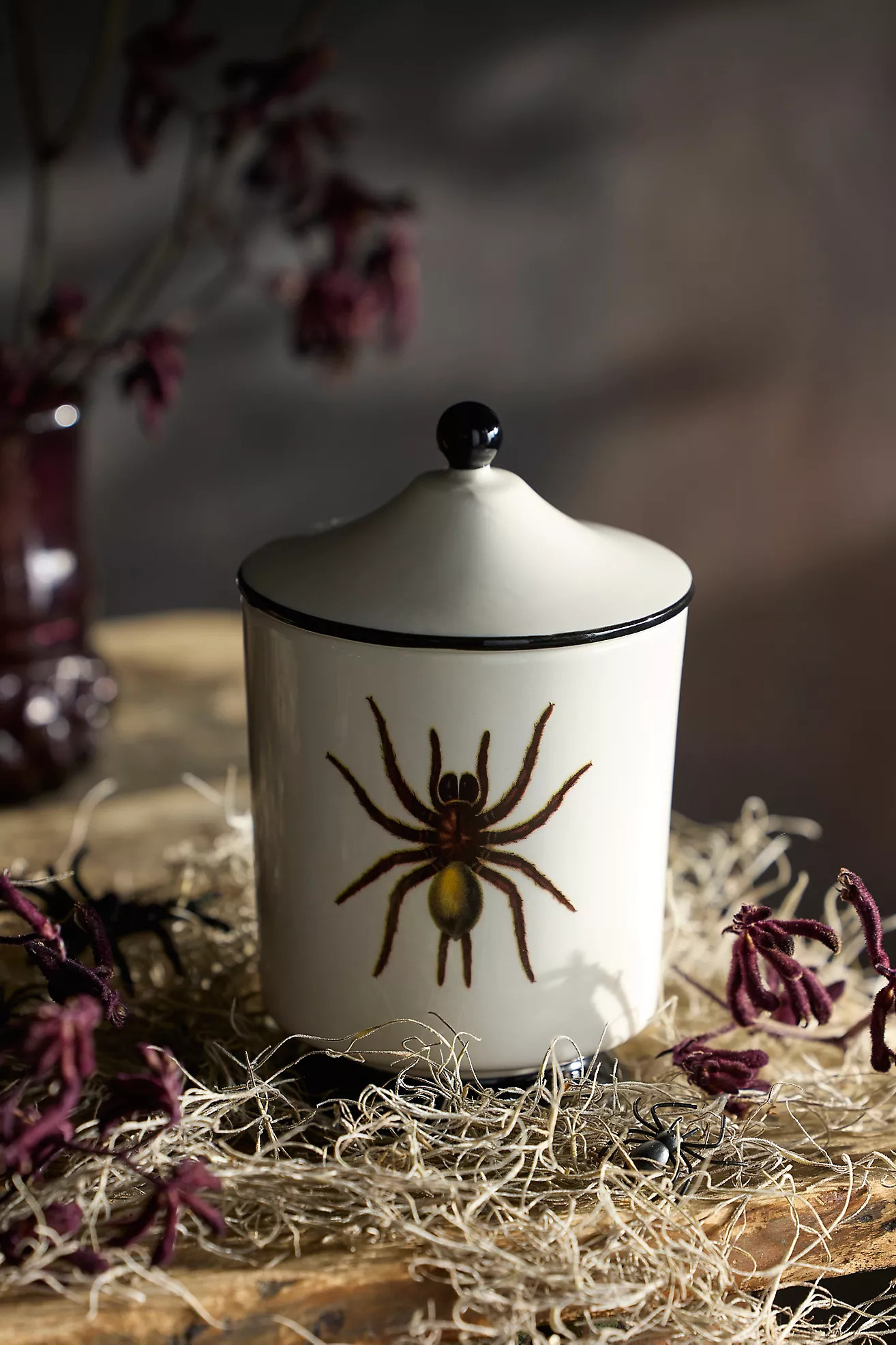 Spider Jar Candle, Nocturnal Rituals | Terrain