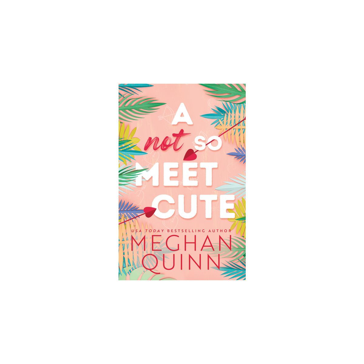 A Not So Meet Cute - (Cane Brothers) by  Meghan Quinn (Paperback) | Target