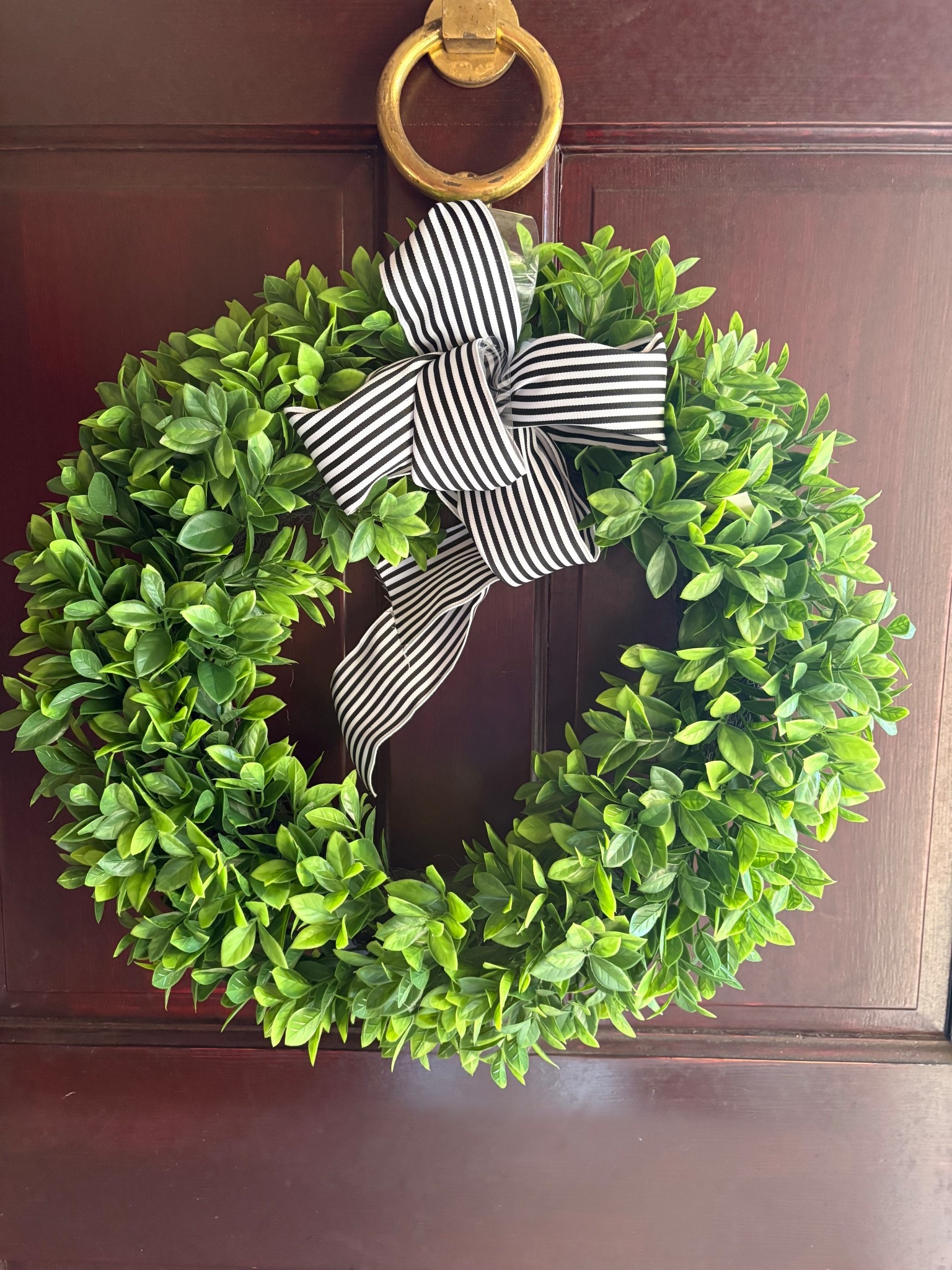 Spring forward with a beautiful Boxwood wreath! Similar styles + ribbon linked 💖🌸

#LTKHome #LTKSeasonal #LTKdayinmylife