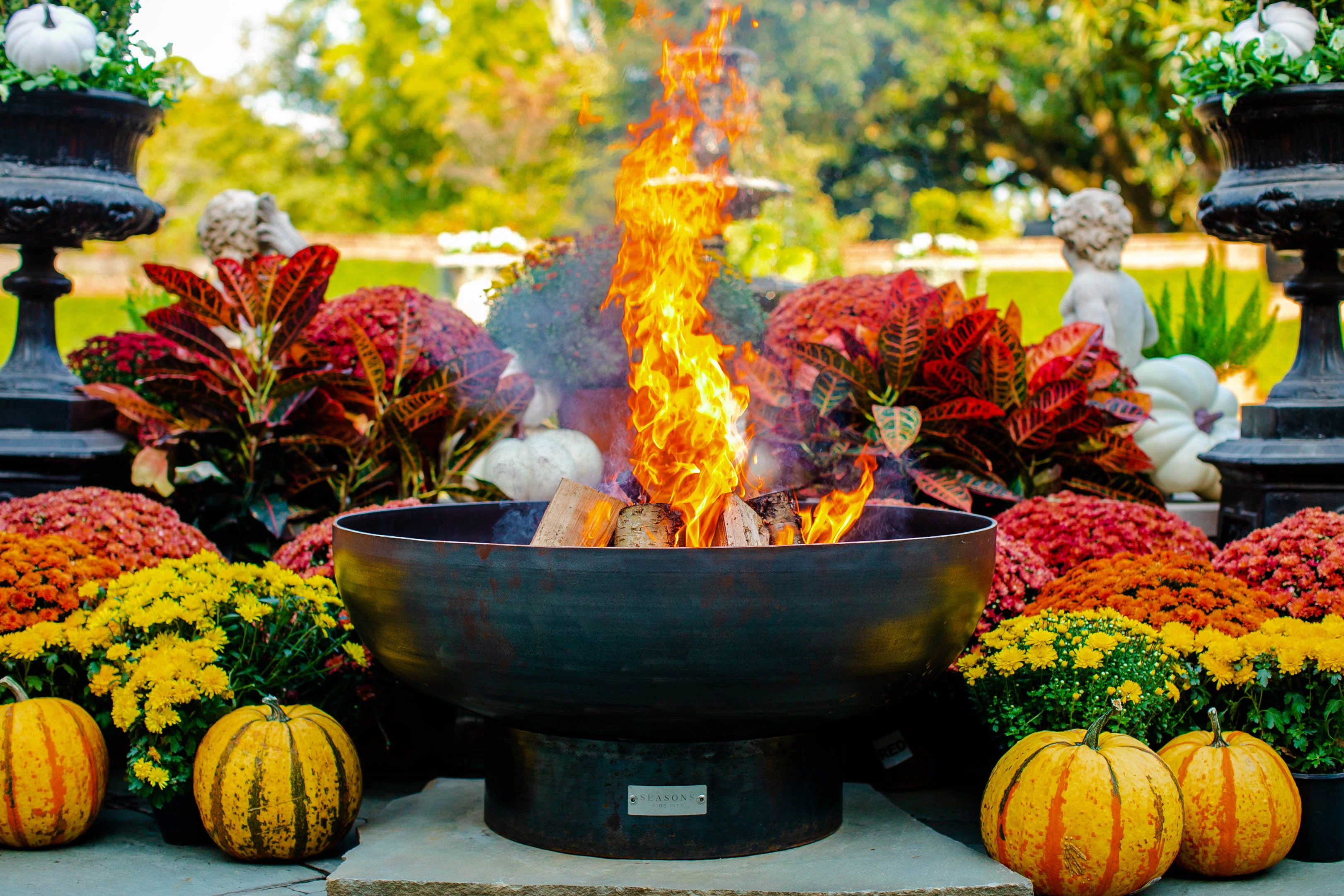 Harrogate Steel Wood Burning Fire Pit | Wayfair North America