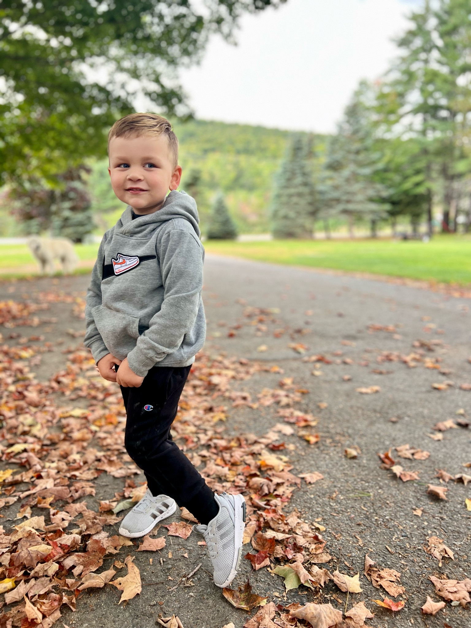 Toddler fall basics 

#LTKstyletip #LTKshoecrush #LTKkids