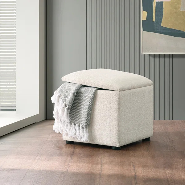 Subi Boucle Storage Ottoman | Wayfair North America