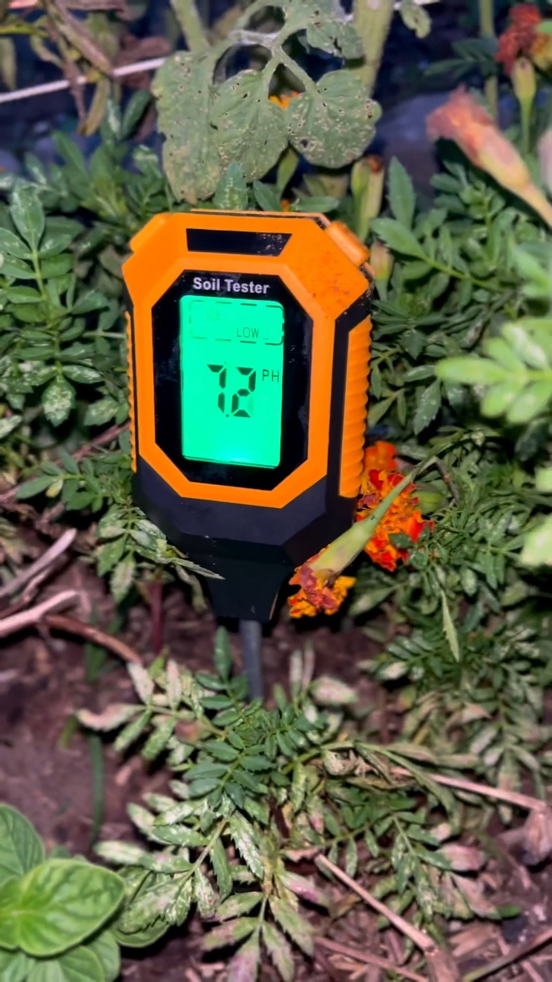 Best digital soil pH temperature for the garden to help ensure a successful harvest! 

#LTKHome #LTKSeasonal