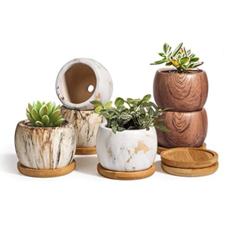 Boho Succulent Pots | Amazon (US)
