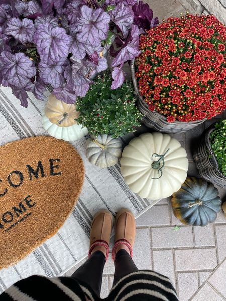 Worked on our front porch today and love how it turned out! My Uggs are in stock and I am obsessed with them! 

Front porch, Fall, Uggs, ugg slippers, fall outfit, fall decor, fall pumpkins, welcome mat, pumpkin, mums, front porch decor, fall front porch decor, uggs, 

#LTKsalealert #LTKstyletip #LTKhome