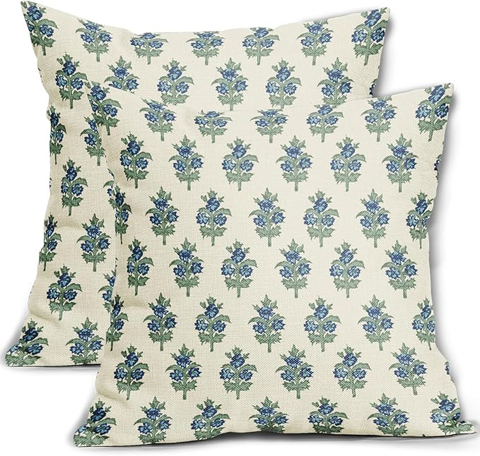 Sage Green Blue Floral Block Print Pillow Covers 20x20 Set of 2 Spring Flower Pattern Decorative ... | Amazon (US)