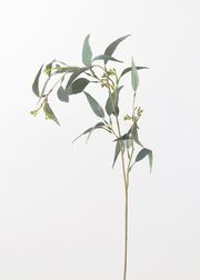 Artificial Seeded Eucalyptus Leaves - 23" Tall | Afloral (US)