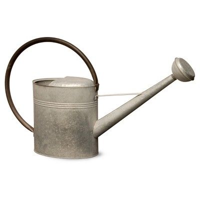 Garden Accents Antique Watering Can Silver 18" - National Tree Company® | Target