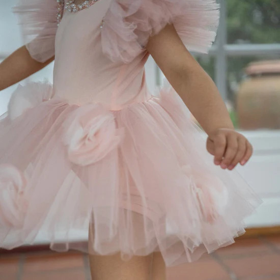 Sugar Plum Leotard Tutu | petite maison kids