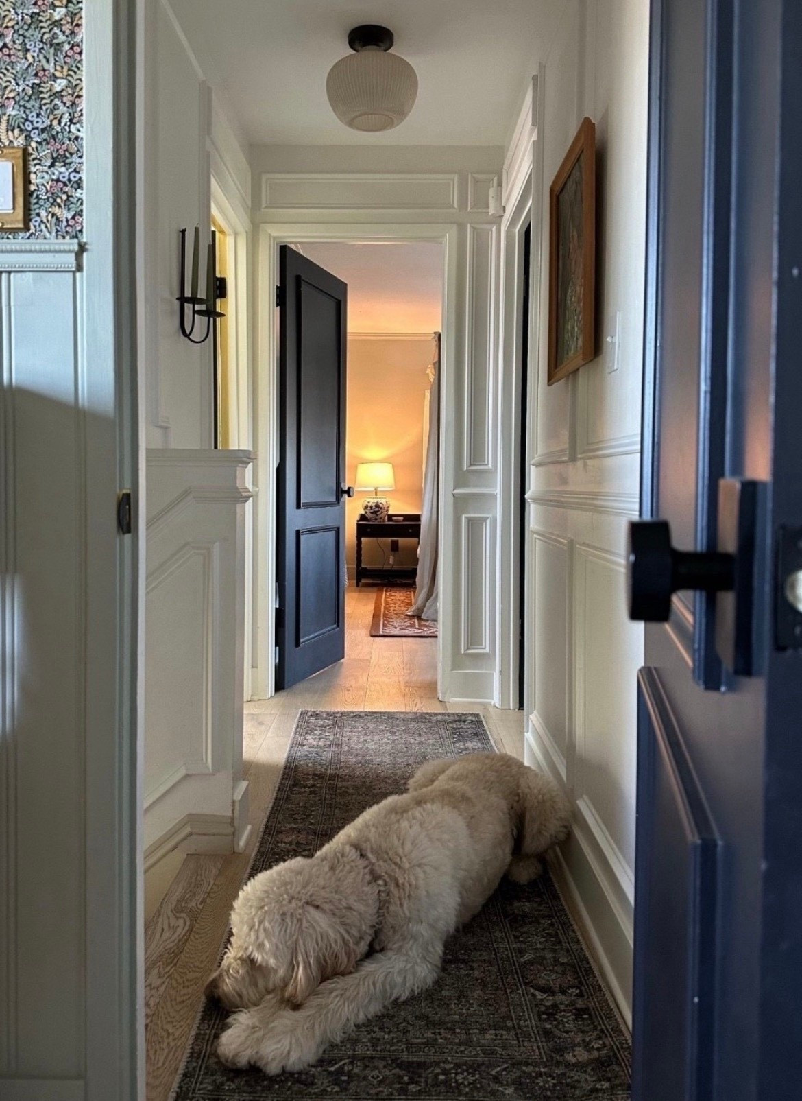 Big Spring Sale: Rugs 

#LTKSaleAlert #LTKHome