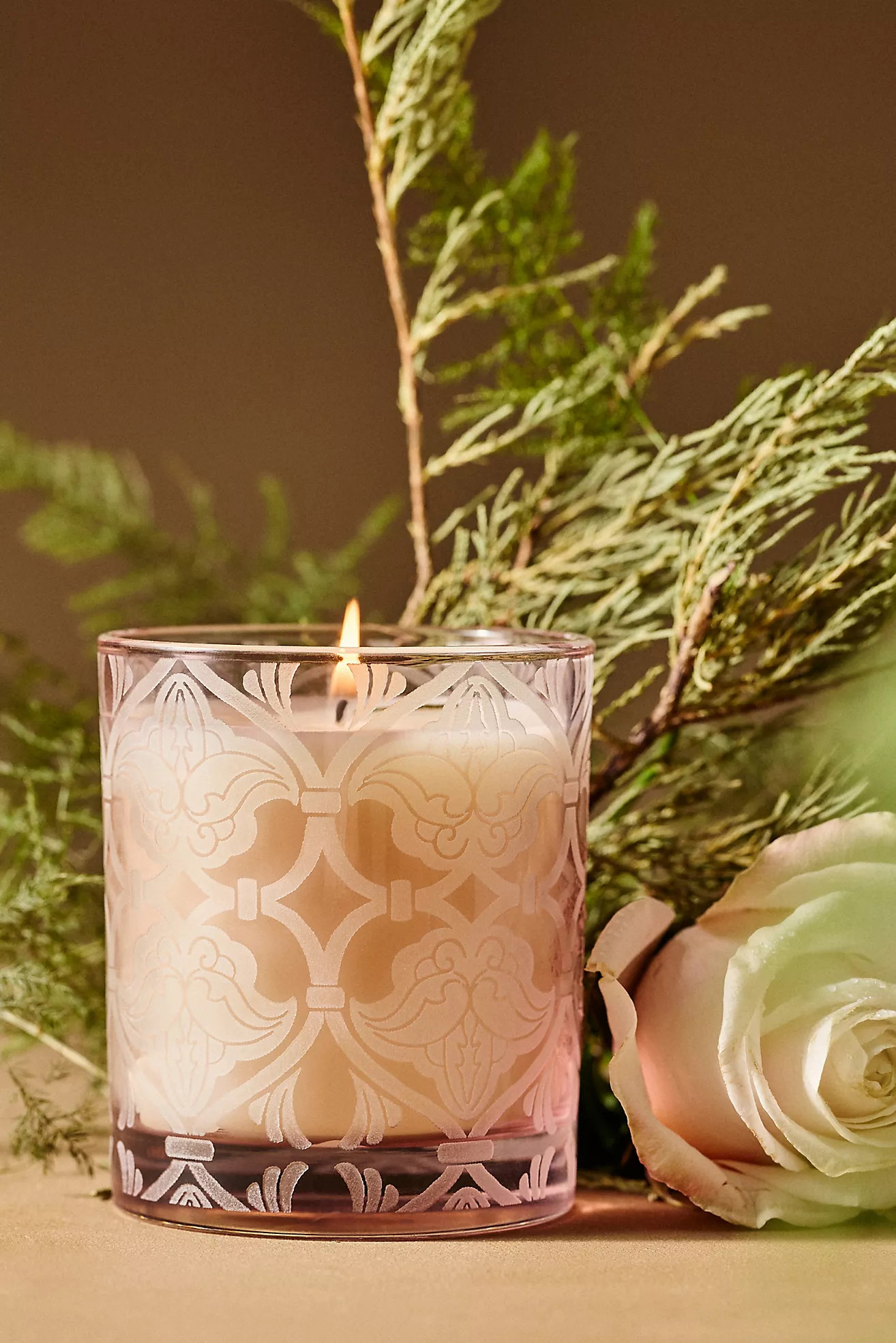 Hotel Bon Séjour Fresh Juniper & Birchwood Boxed Glass Candle | Anthropologie (US)
