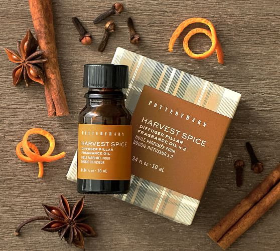 Harvest Spice Scent Collection | Pottery Barn (US)