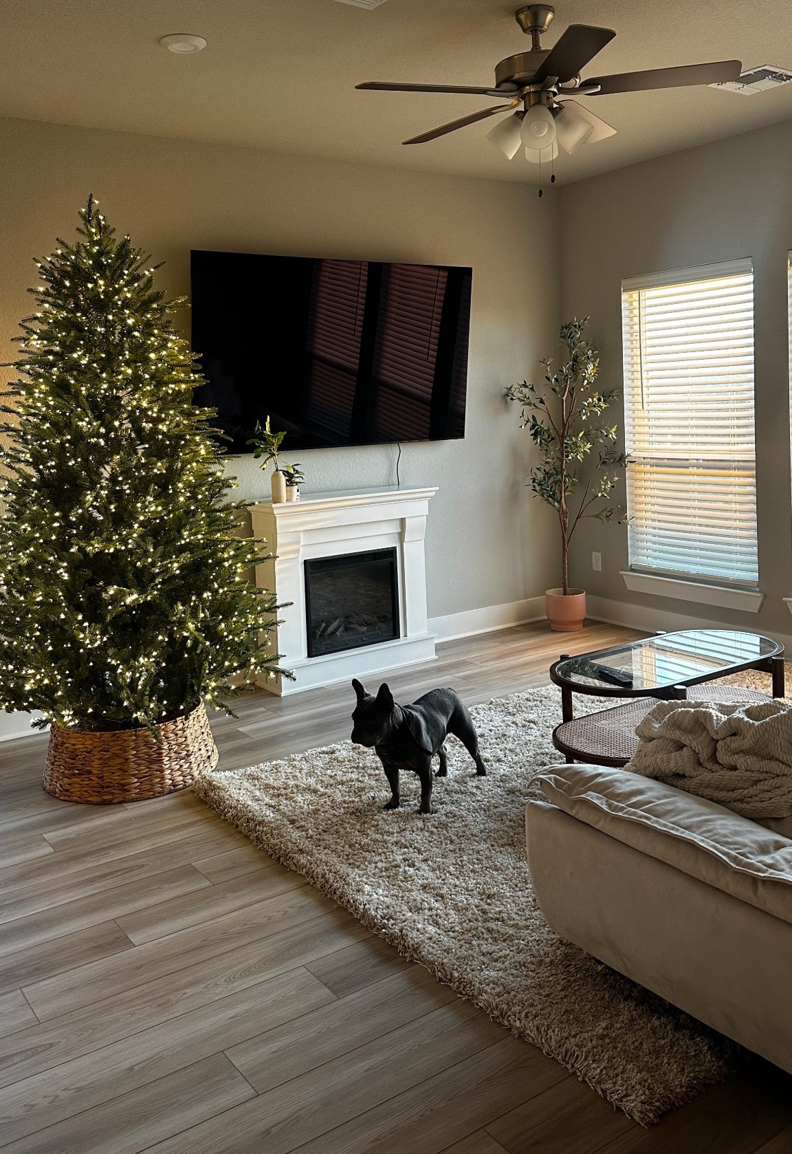 living room is coming along :) third year using the home depot viral christmas tree and still obsessed with it!

#LTKHoliday #LTKFindsUnder50 #LTKFindsUnder100