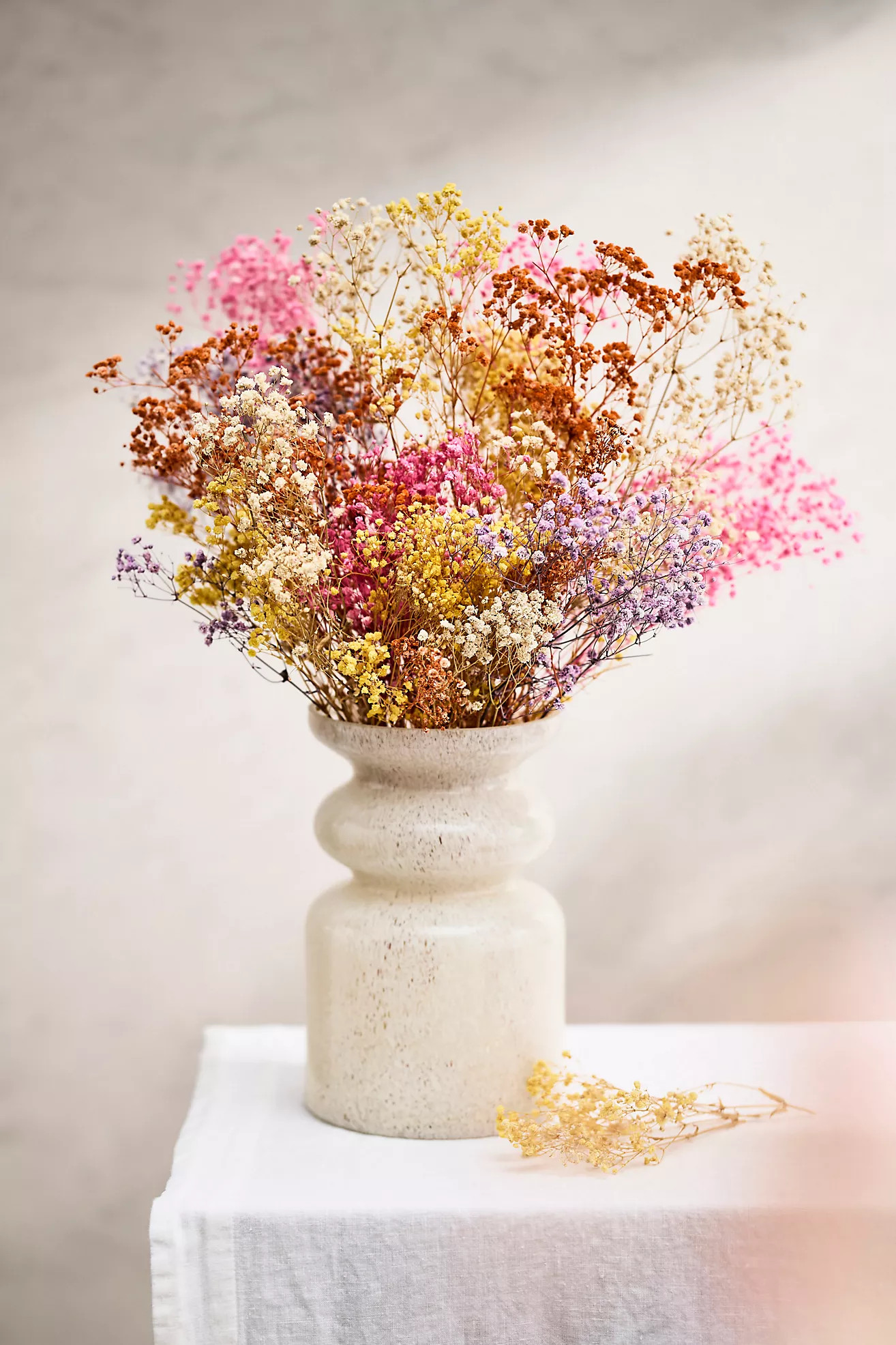 Dried Rainbow Gypsophila Bunch | Anthropologie (US)