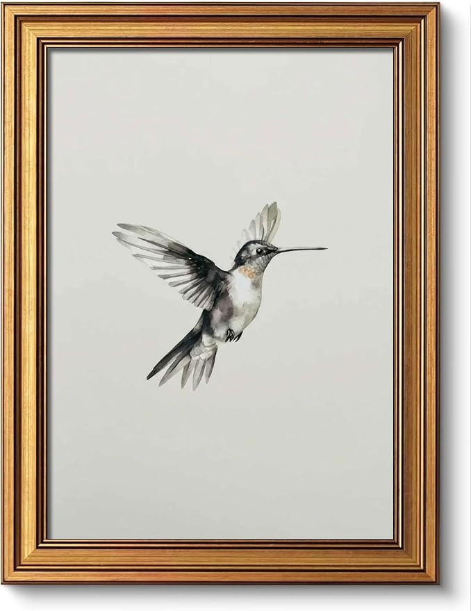 Gold Framed Canvas Wall Art - Ready to Hang Minimalist Watercolor Hummingbird Bird Sketch Print, ... | Amazon (US)