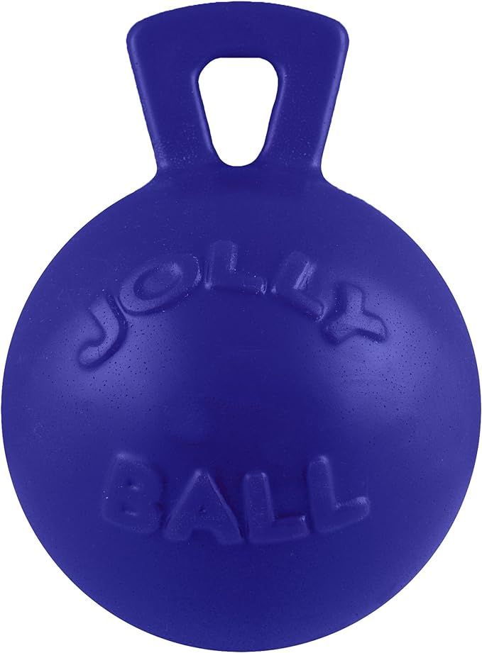 Jolly Pets Tug-n-Toss Dog Toy Ball with Handle, 8 Inches/Large, Blue | Amazon (US)