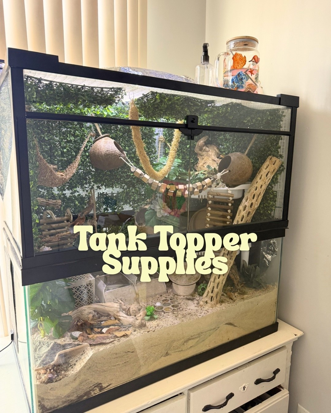 Hermit crab tank topper supplies