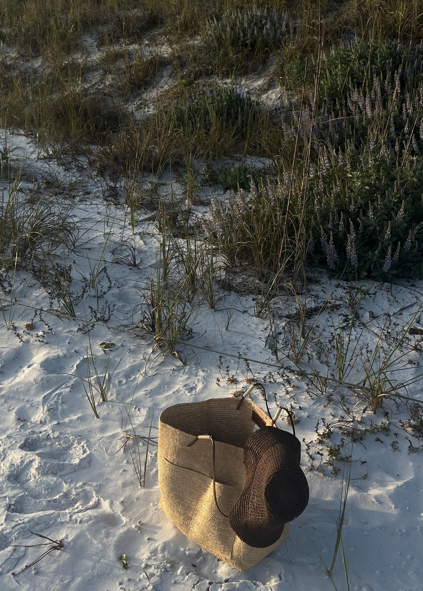 One of my favorite bags ever!!

#LTKTravel #LTKSeasonal