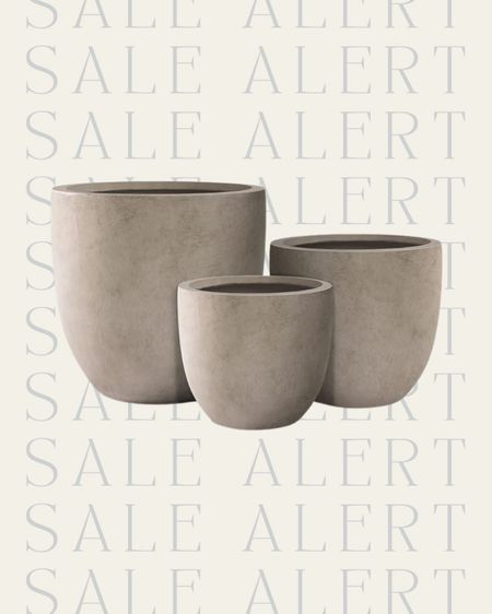 Sale alert 🚨 under $200 for the set of concrete planters! Add your favorite plants for a Spring refresh! 

Outdoor decor, planter pot, seasonal decor, Amazon sale, sale, sale find, sale alert, big spring sale, porch, deck, balcony, patio, spring refresh , Living room, bedroom, guest room, dining room, entryway, seating area, family room, curated home, Modern home decor, traditional home decor, budget friendly home decor, Interior design, look for less, designer inspired, Amazon, Amazon home, Amazon must haves, Amazon finds, amazon favorites, Amazon home decor #amazon #amazonhome



#LTKsalealert #LTKSeasonal #LTKhome