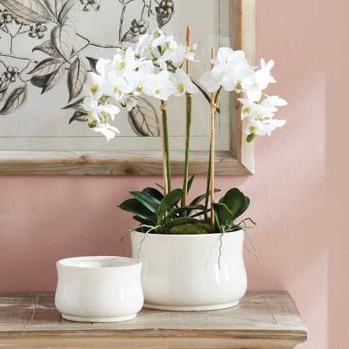 Faux Phalaenopsis Orchid Mini Garden Drop-In, 16 | Williams-Sonoma