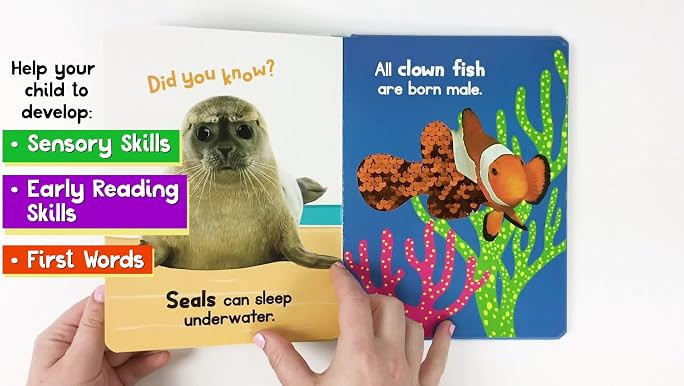 Ocean Friends - Touch and Feel Board Book - Sensory Board Book | Amazon (US)