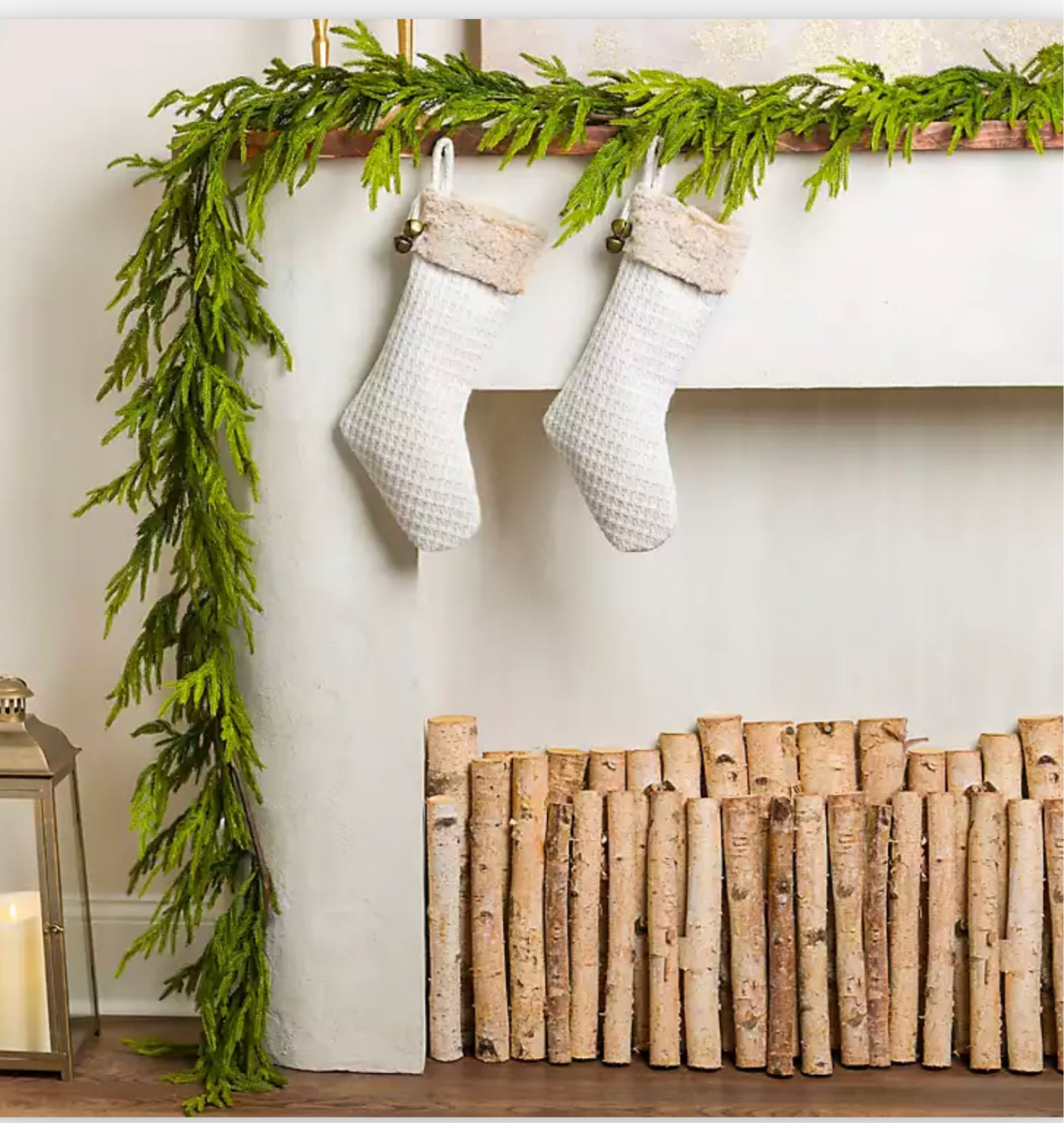 Christmas Decor Must Have: Norfolk Pine Natural Touch Stems! 🎄Go