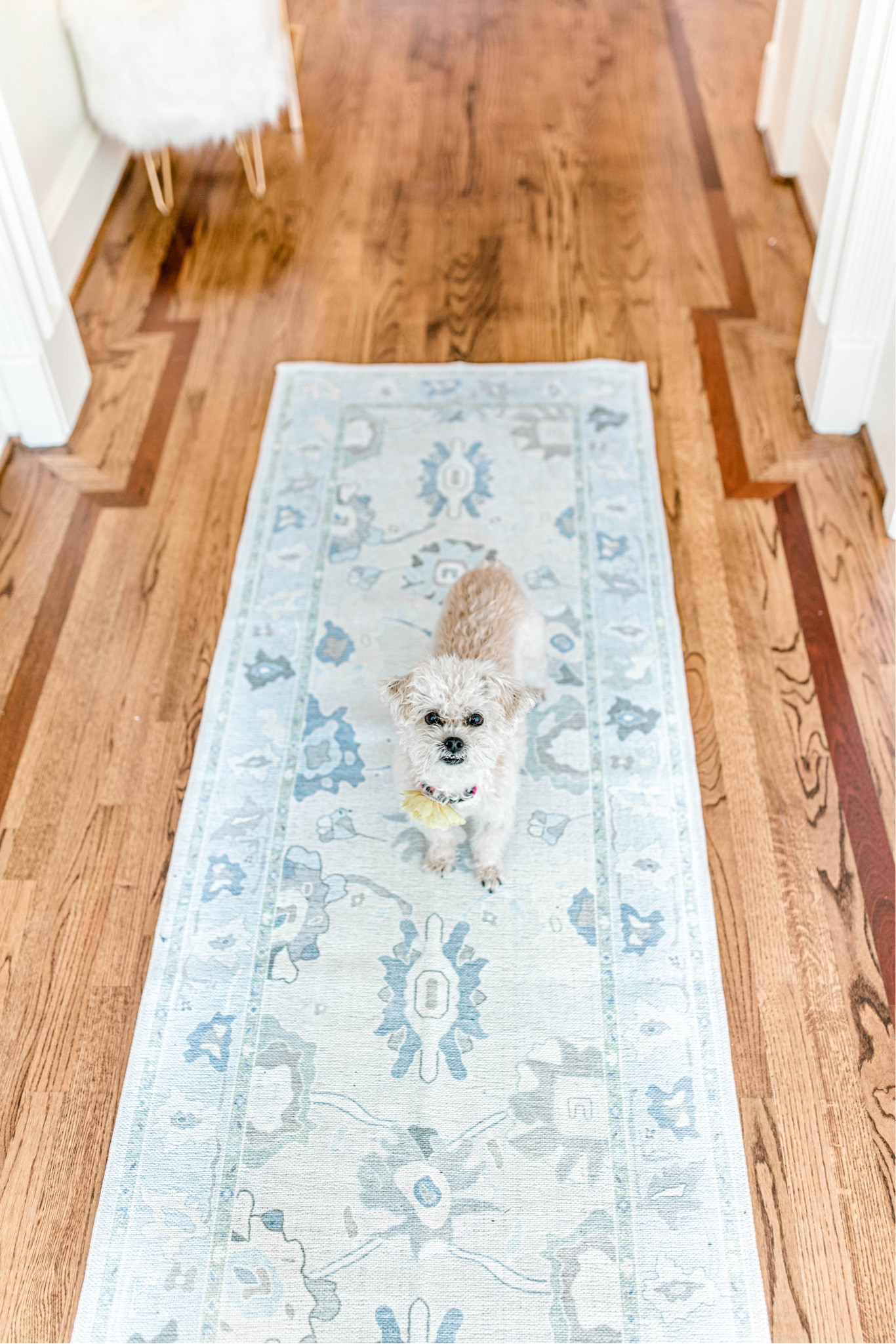Amazon Oushak style rug runner!! 

#LTKstyletip #LTKfindsunder100 #LTKhome
