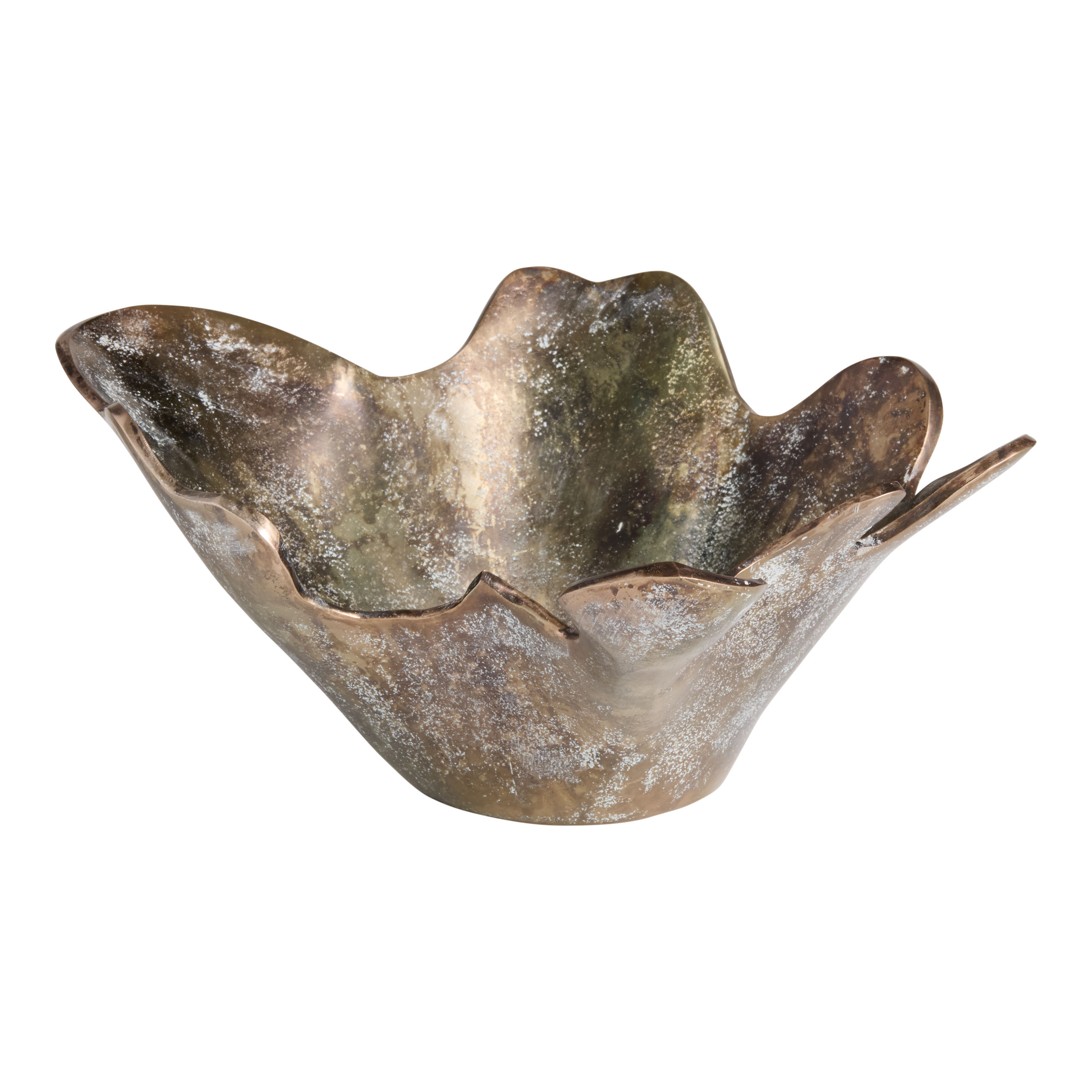 Pacha Vintage Bronze Metal Organic Bowl Decor | World Market