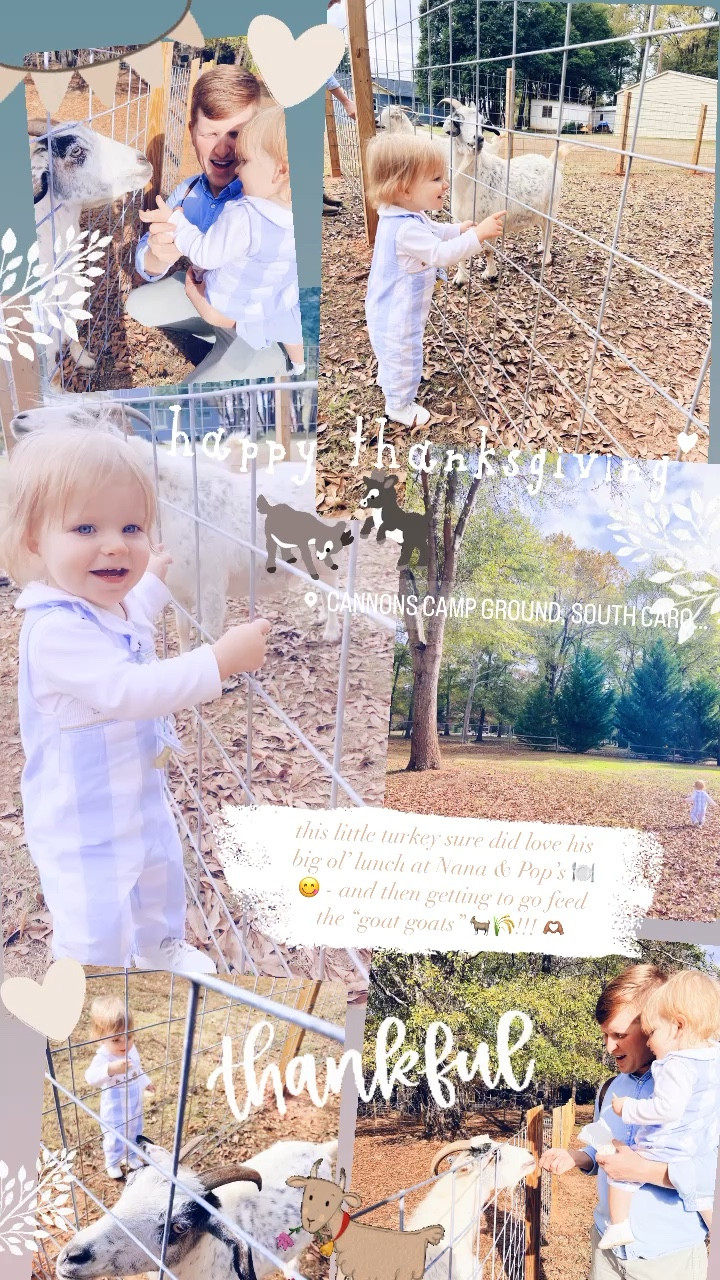 this little turkey sure did love his big ol’ lunch at Nana & Pop’s 🍽️😋 - and then getting to go feed the “goat goats” 🐐🌾!!! 🫶🏽

#LTKbaby #LTKHoliday #LTKSeasonal