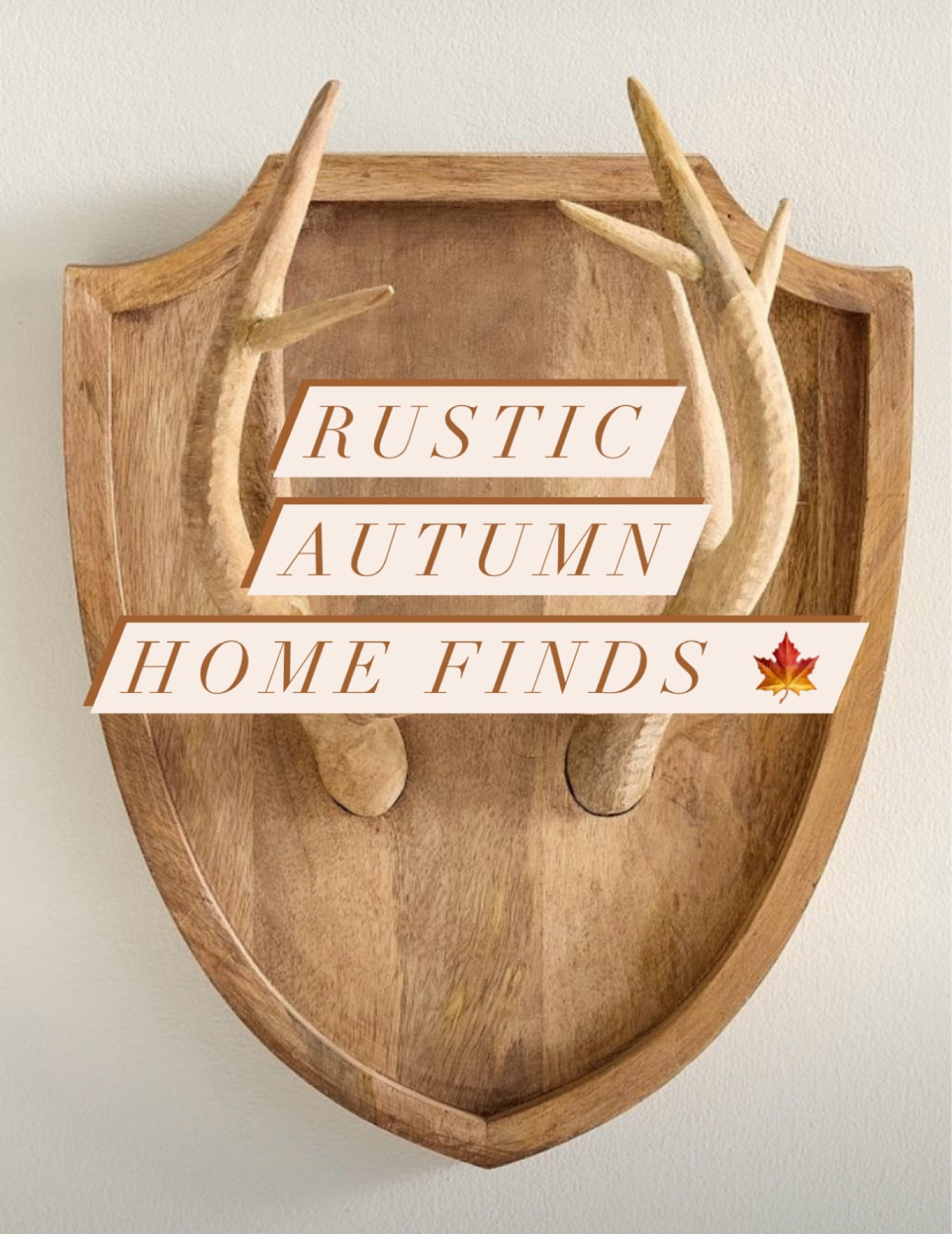 You know it’s getting closer when the early decor drops 🍁

#LTKSeasonal #LTKFindsUnder100 #LTKHome