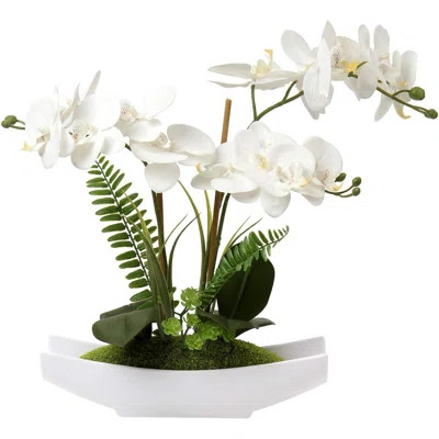 Artificial Fake Orchid Flower with Vase | Wayfair North America