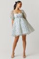 Asha Chiffon Babydoll Mini Dress | Francesca's