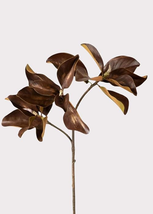 Warm Aged Fake Magnolia Leaf Branch - 38.5" | Amazon (US)