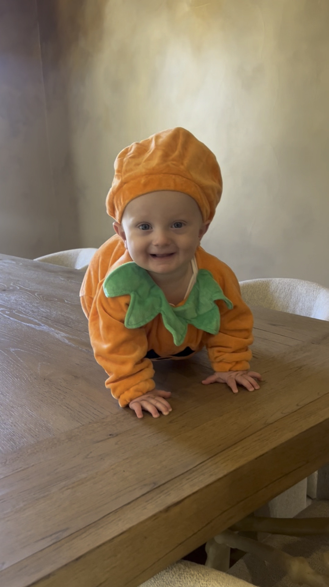 Pumpkin baby Halloween costume

#LTKFindsUnder100 #LTKBaby #LTKFindsUnder50