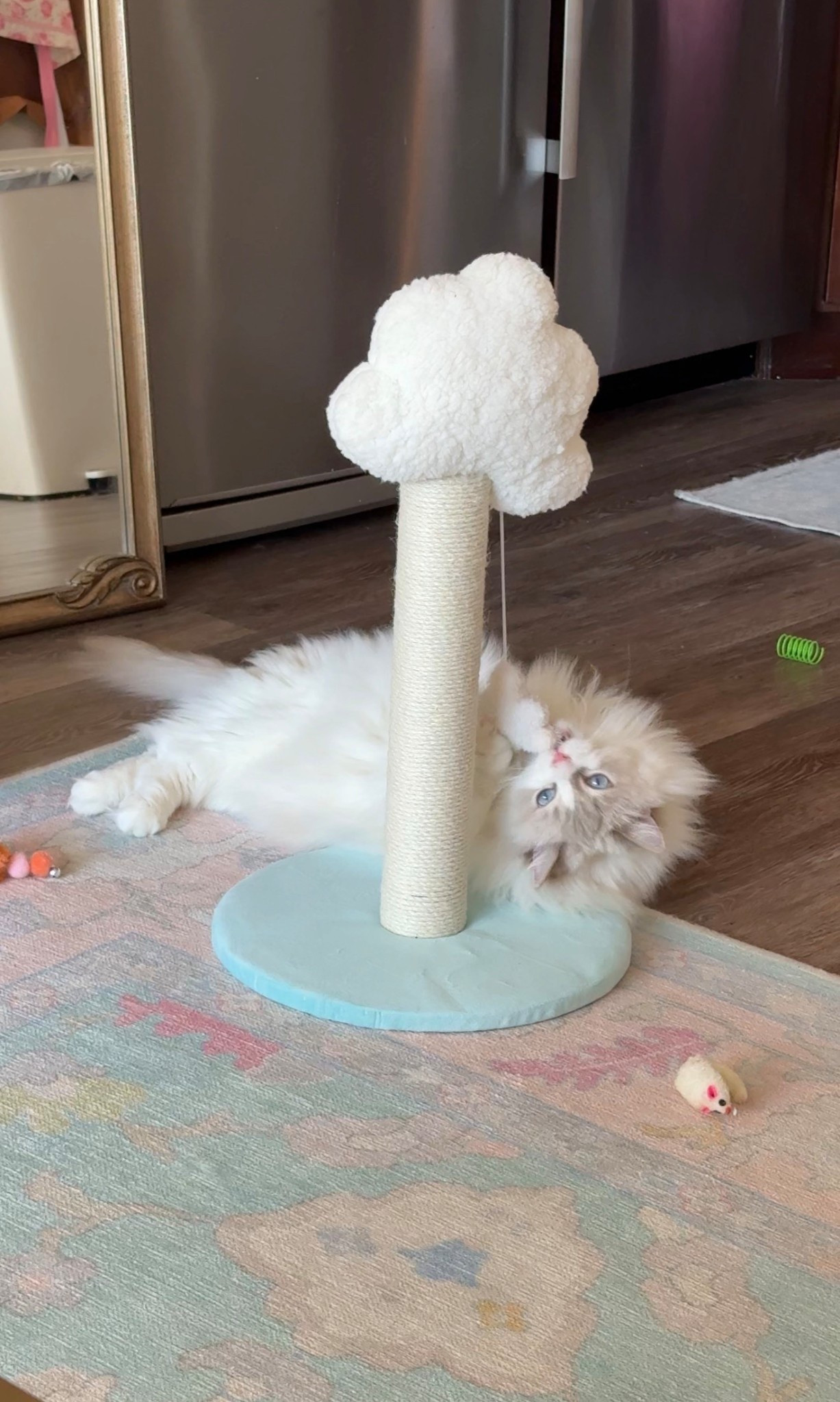 Our kitties favorite cat scratcher right now!