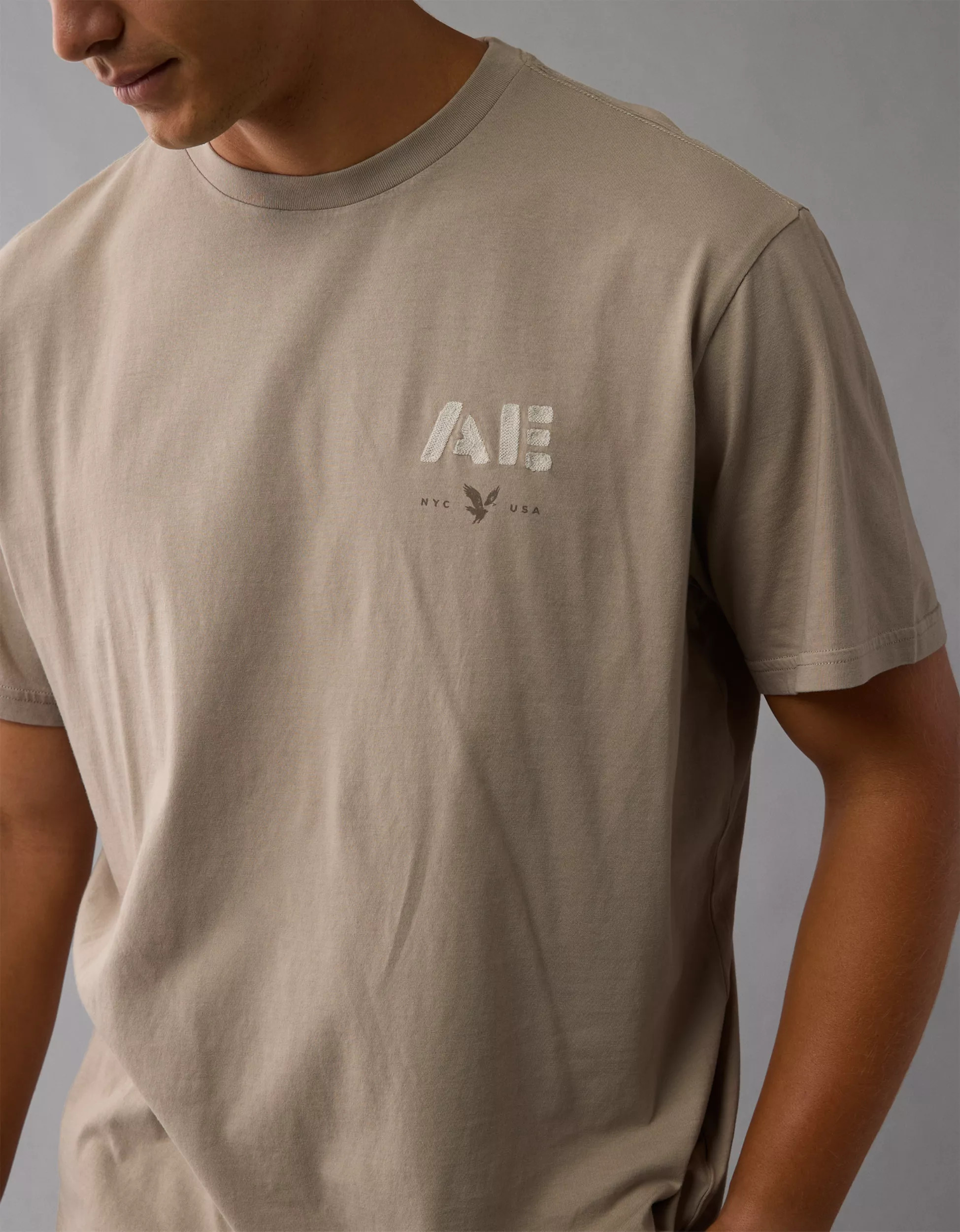 AE Logo Graphic T-Shirt | American Eagle Outfitters (US & CA)