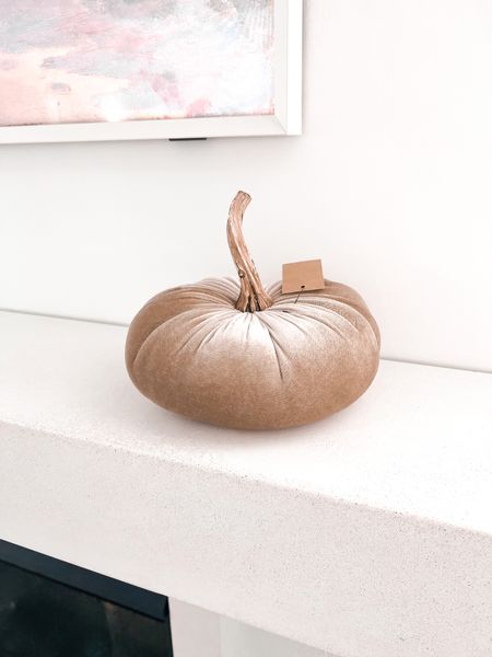 amazon velvet pumpkin
Tan / small


#LTKhome #LTKHalloween #LTKfindsunder50