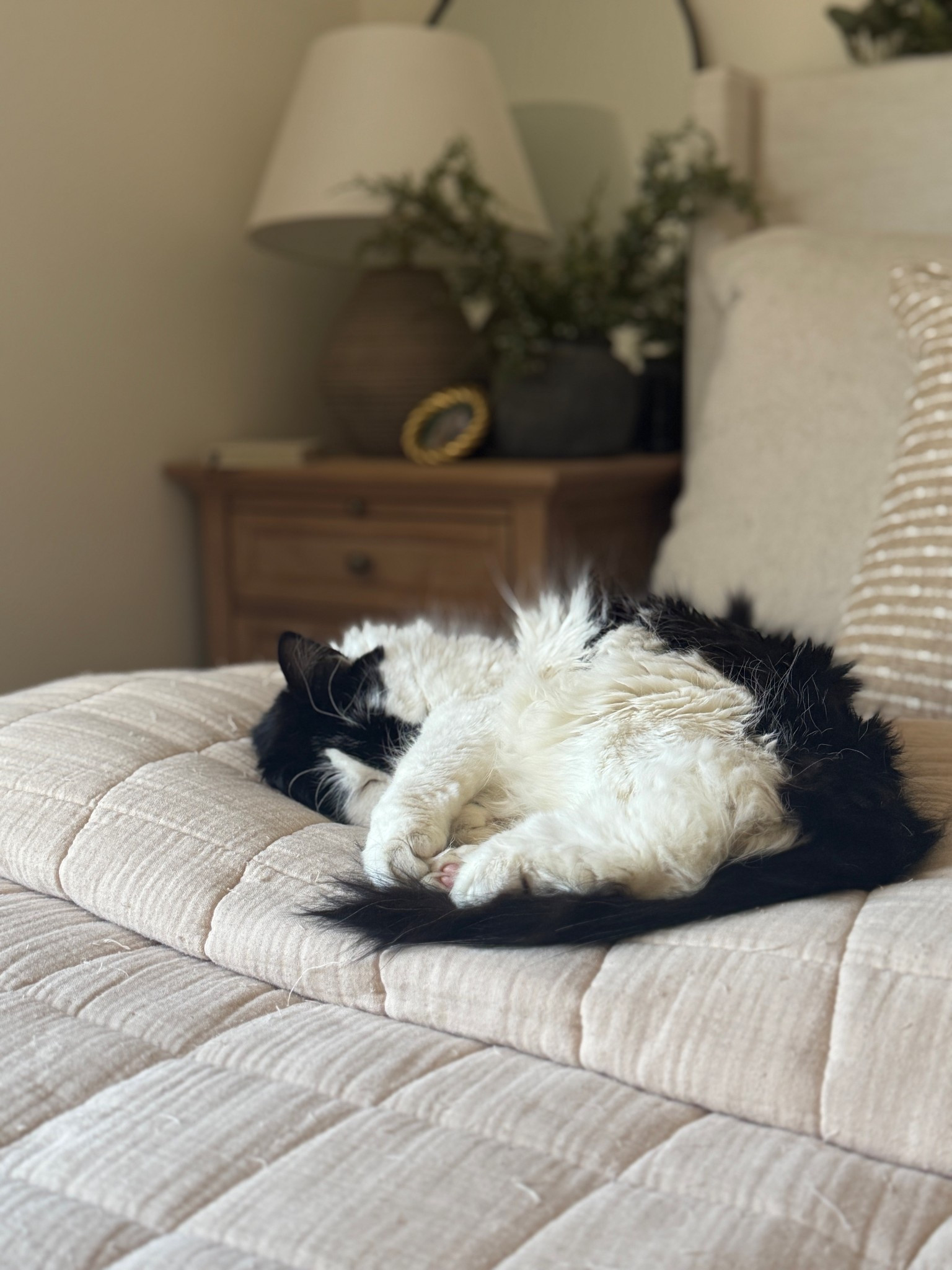 Happy New Year 🤎

#LTKHome