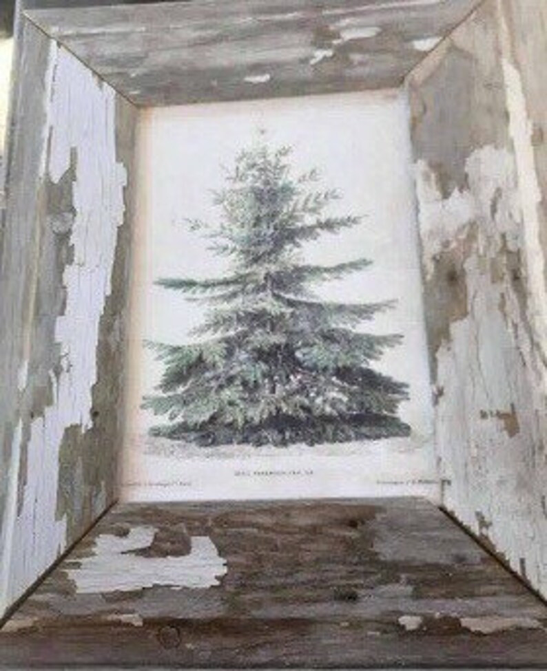 2 sided pine tree botanical and vintage sheep sign | Etsy (US)