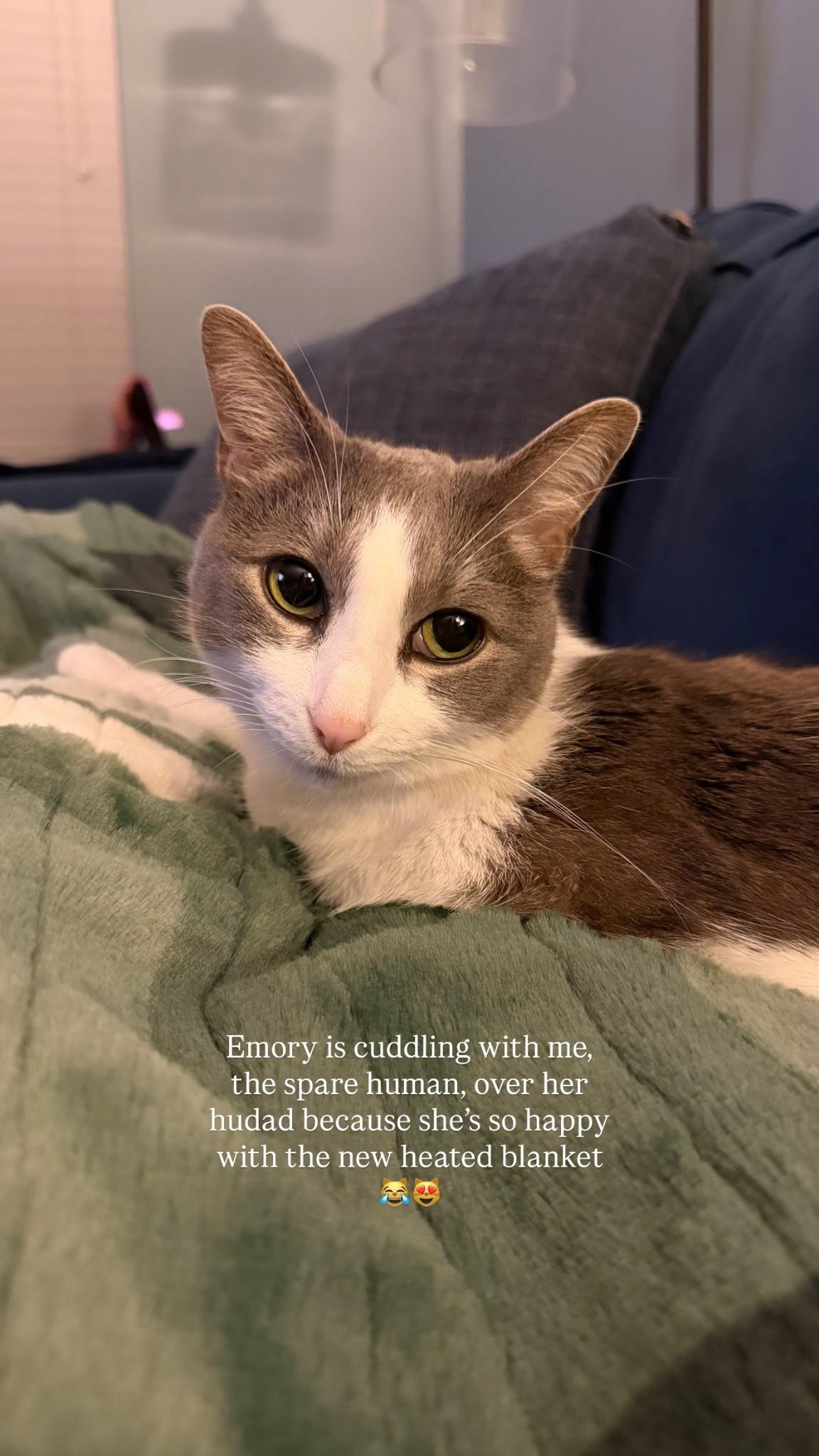 My cats are as obsessed with this faux fur fleece heated blanket as I am!

#LTKselfcare #LTKHome #LTKstorytime