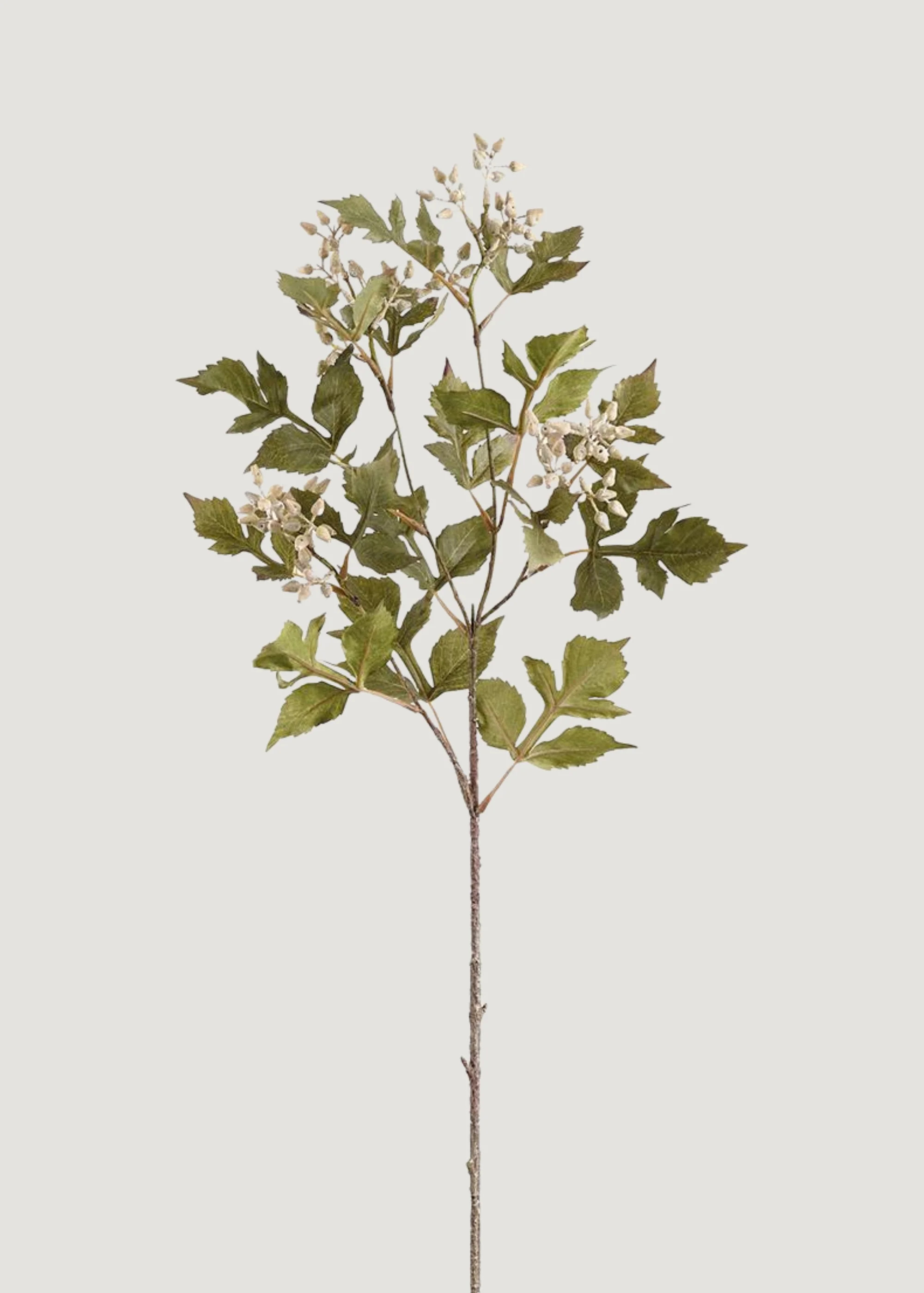 Fake Seeded Ash Leaf Branch in Cream Green - 33 | Afloral