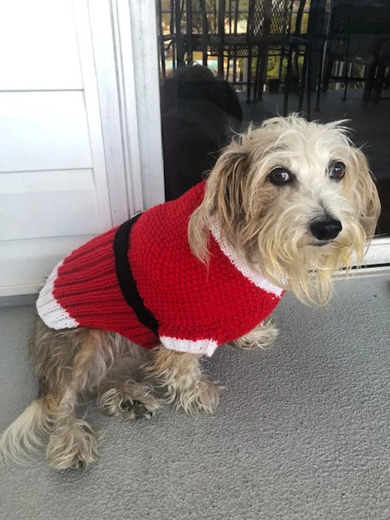 Santa Dog Sweater / Jumper | Etsy (US)