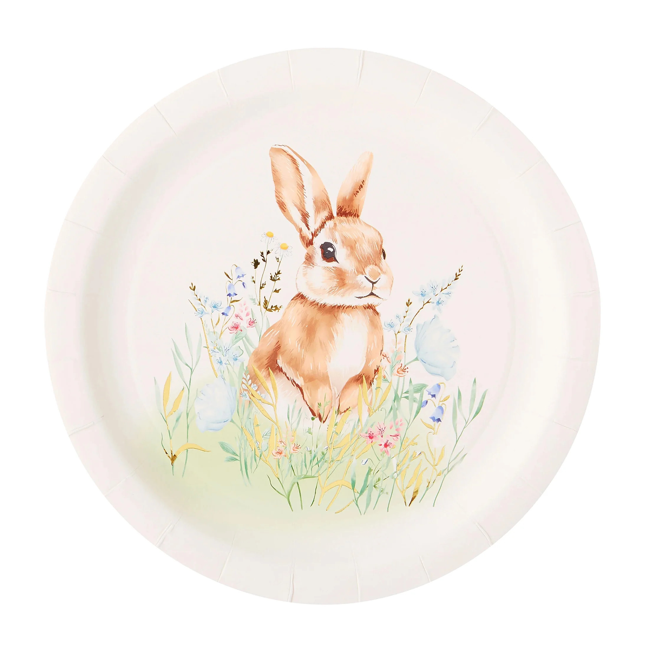Multicolor Field Bunny Disposable Paper Plates, 9", 8 Count, Easter by Way To Celebrate | Walmart (US)
