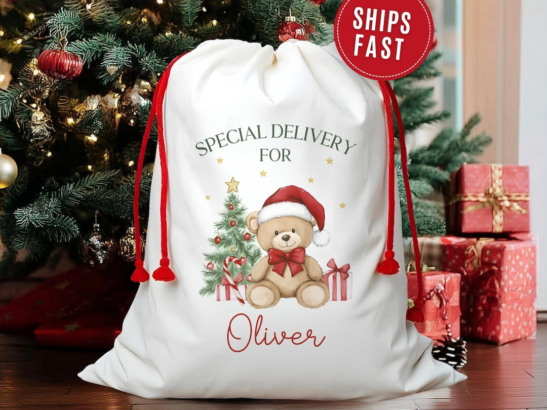 Special Delivery Santa Bag, Custom Boy's Christmas Gift Bag Special Delivery Personalized Christm... | Etsy (US)