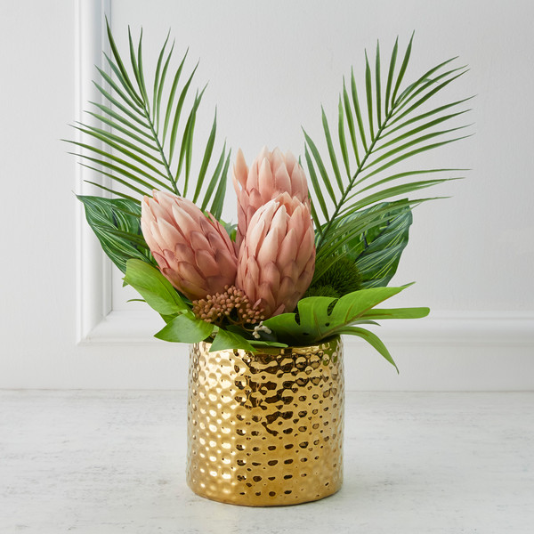 Protea In Pot - Blush | Z Gallerie