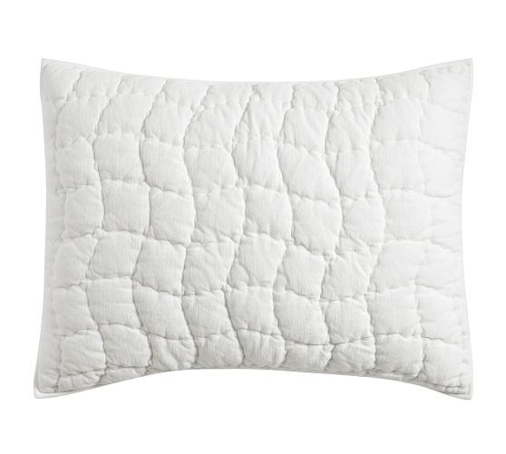 Cozy Cloud Quilted Sham | Pottery Barn (US)