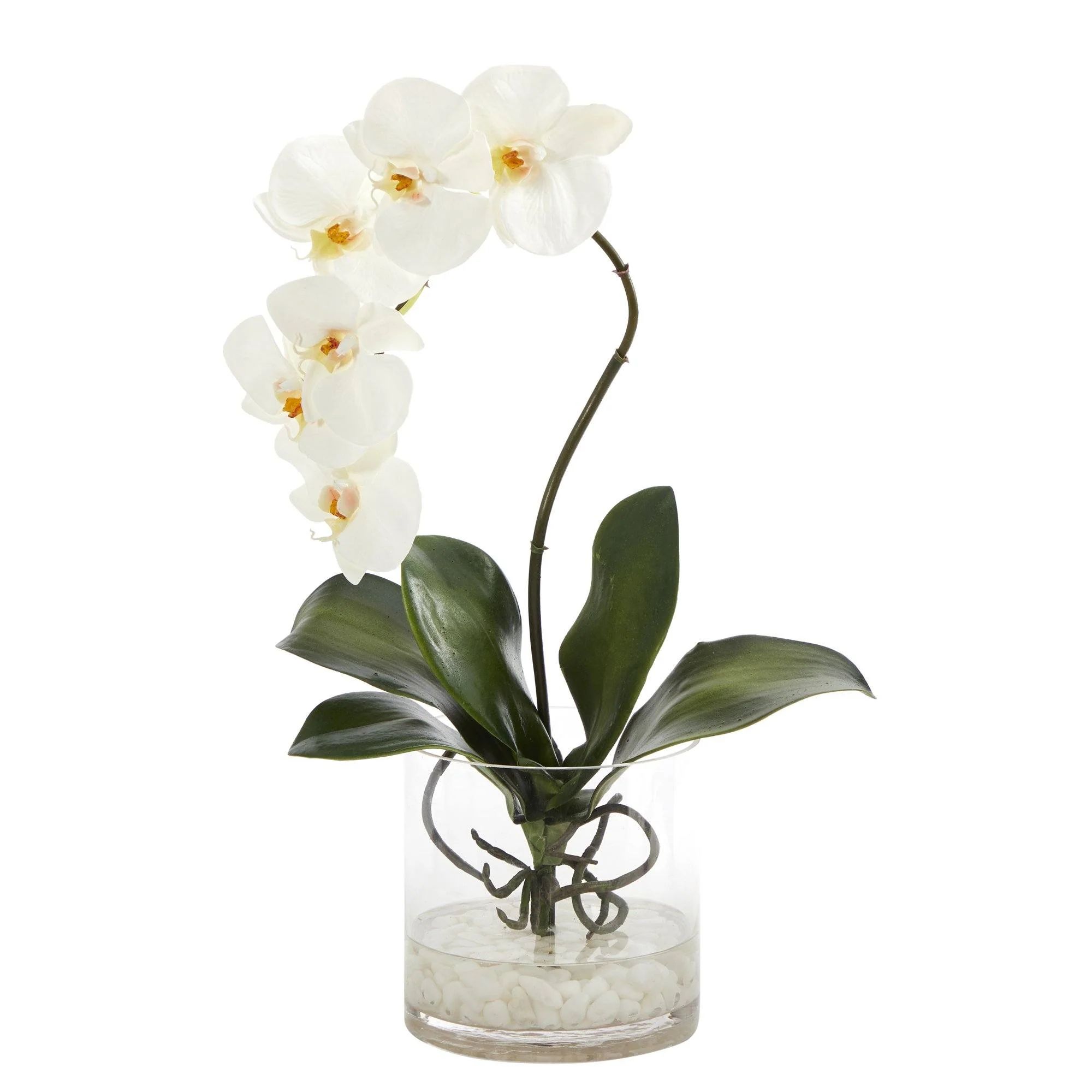 17” Phalaenopsis Orchid Artificial Arrangement in Glass Vase | Nearly Natural