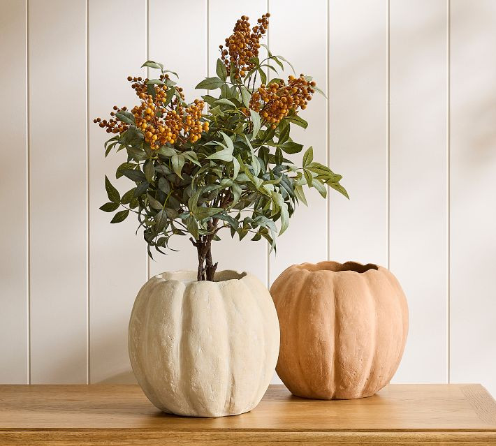 Terra Cotta Pumpkin Cachepot, Large - White | Pottery Barn (US)
