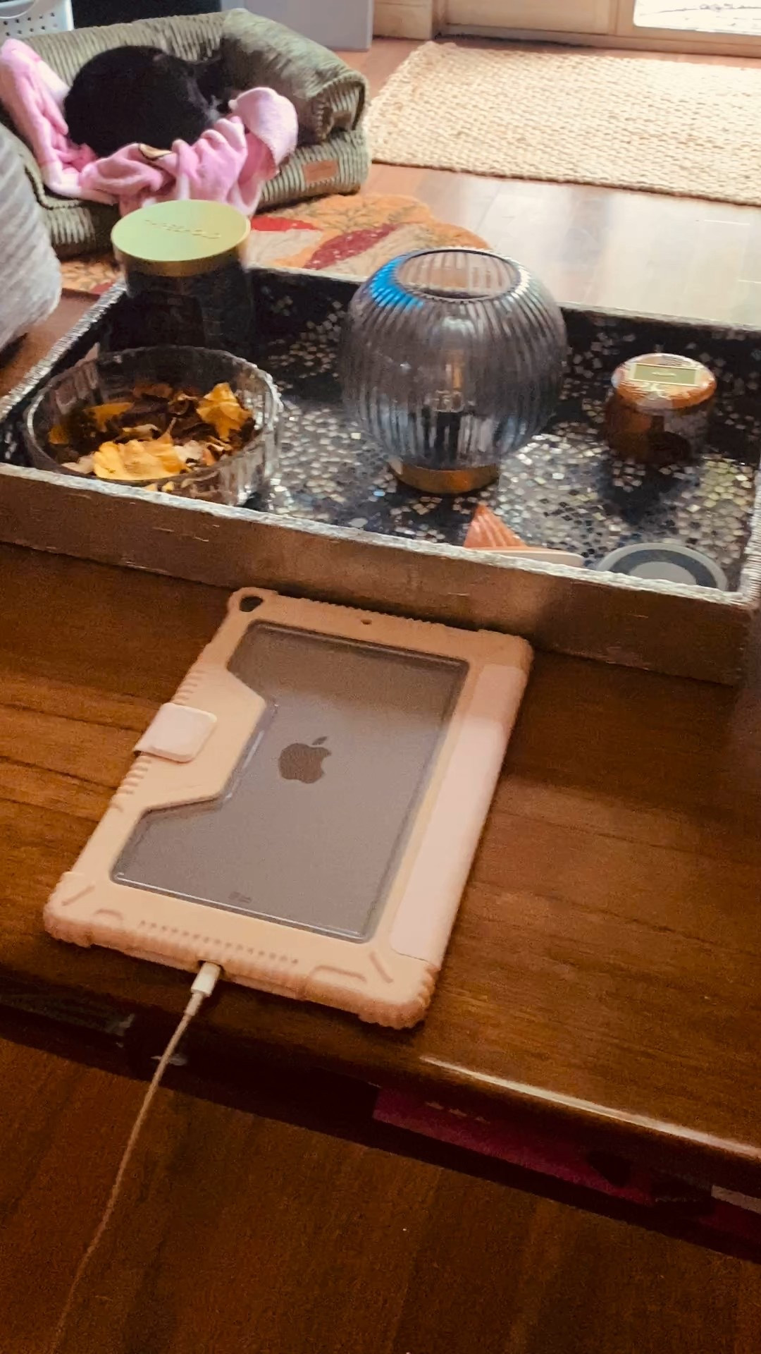 A slow autumn morning today. Coffee, cats enjoying his new couch bed & sharing a few favorites #homey #cozy #remotetablelamp #boho 

#LTKHome #LTKmorningroutine #LTKdayinmylife